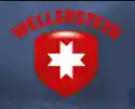 wellensteyn.com
